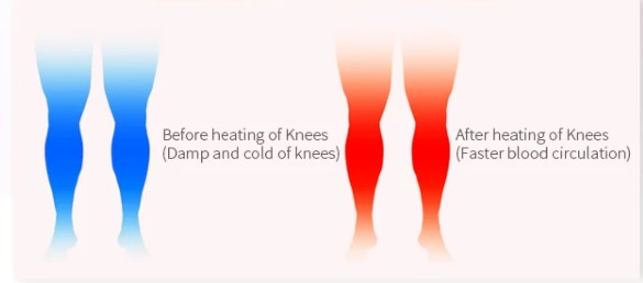 Knee Massager with Heat and Kneading for Pain Relief Rechargeable LED Display