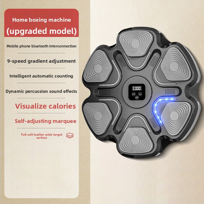 Smart Bluetooth Boxing Target Machine